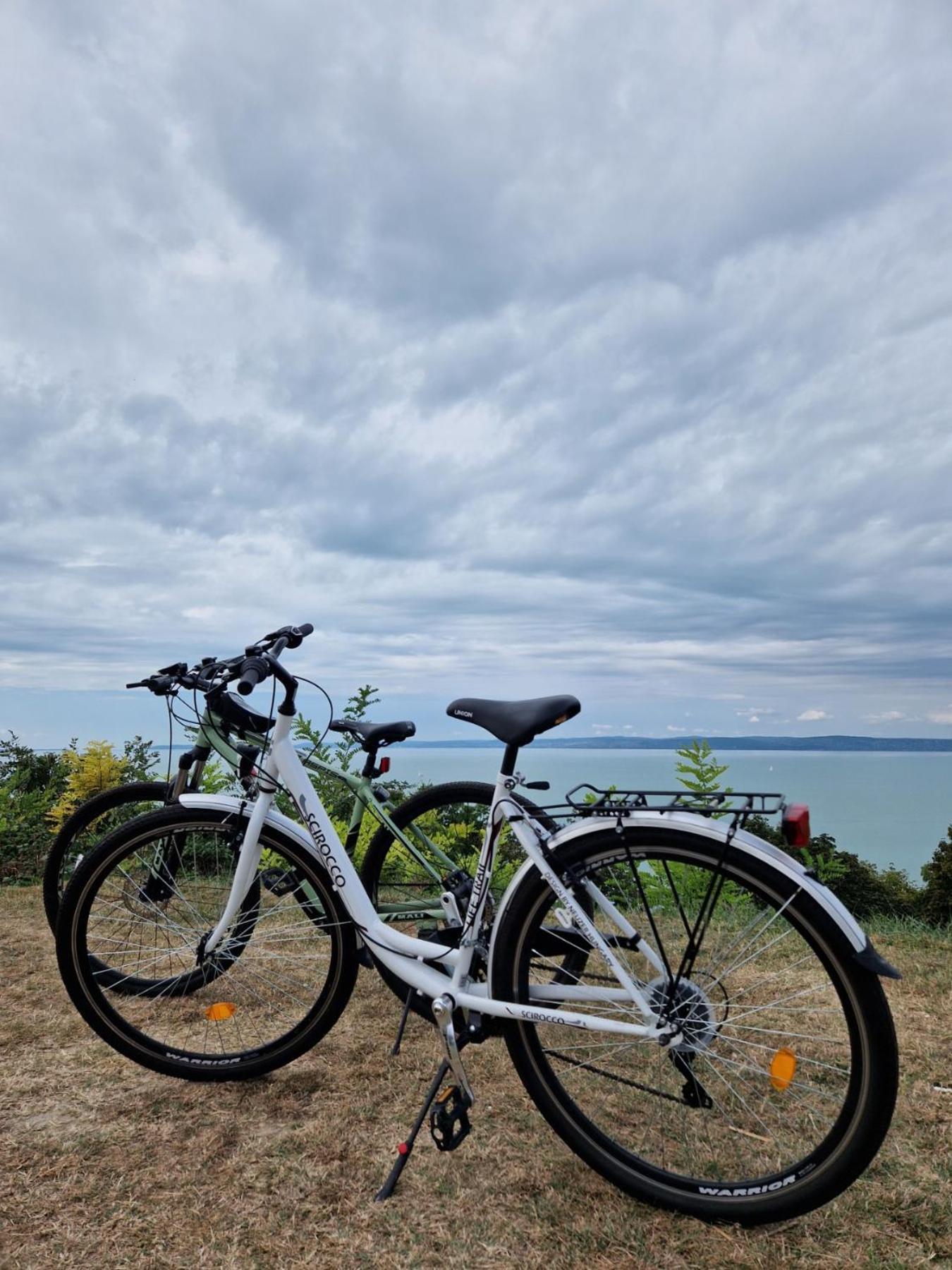 Panoramic Apartments Balatonvilágos المظهر الخارجي الصورة